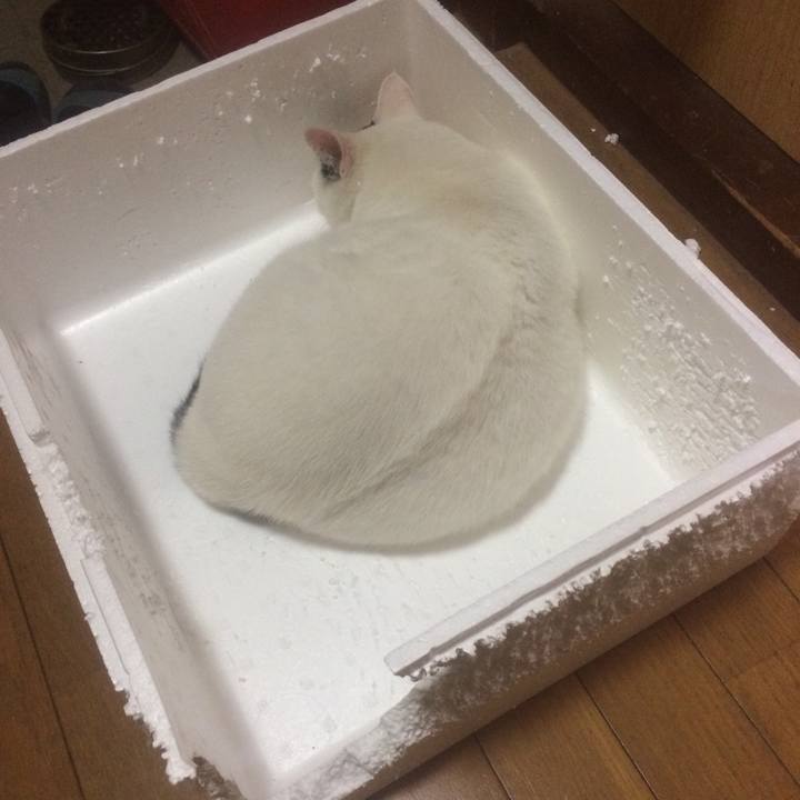 61ba152d 6fc9 4956 bb0b 38ba210d65ef 1537453932724