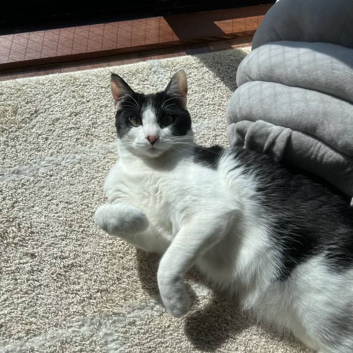 61ba1e85 a57a 4136 812e f4ed0d1a87f2 1644544233705