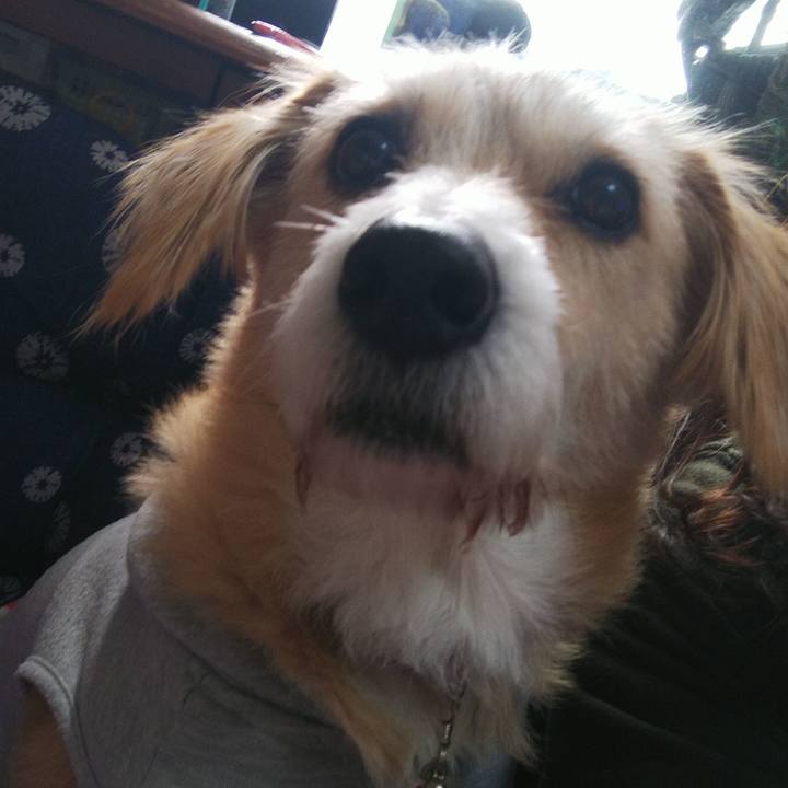 61bac58f 1429 4226 a4a1 da2e546e9a66 1546513014451