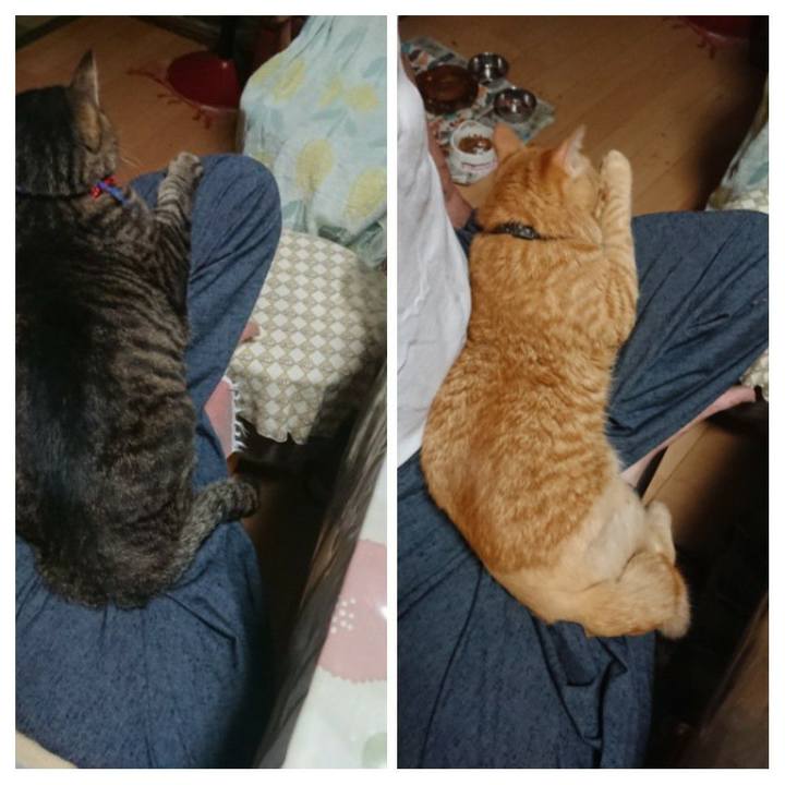 61badf60 02e0 4a56 9202 e133421722b9 1656245251627