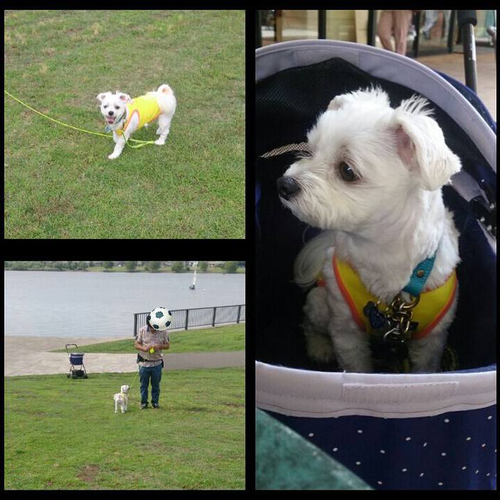 61baeb57 bcba 464e 87ad dbb1d63898b0 1528447564722