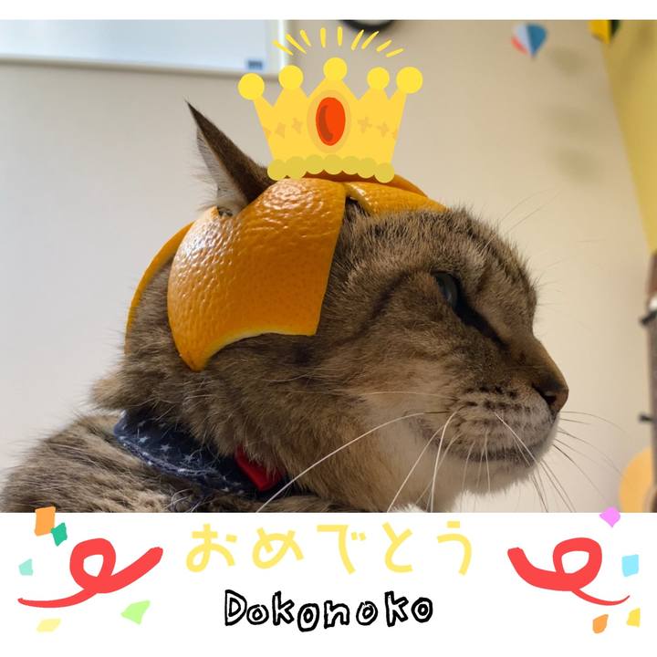 61bb017f 28f5 4ab1 8605 e8fbec68a4fe 1685934275155