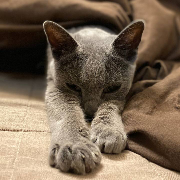 61bb2af0 79cb 40b5 9980 a4a31d928e8f 1583056287810