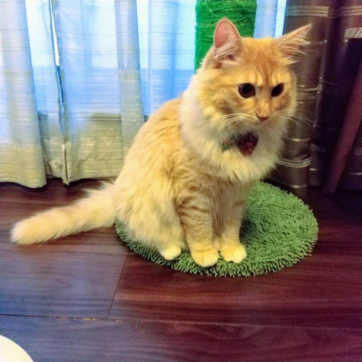 61bb7155 caa7 43aa 89a3 d118856d9bde 1631570400170