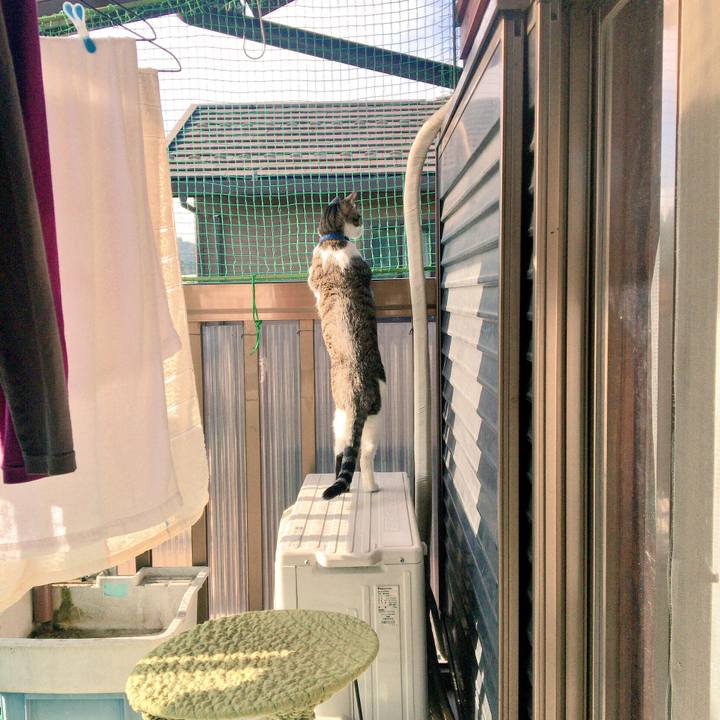 61bb7e8b 4c1a 48f5 acb1 8ba31f887b96 1514174925281