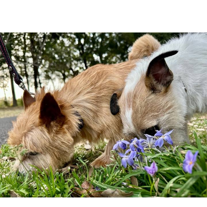 61bc3668 3991 4eeb a8aa efa51286f585 1743889440879