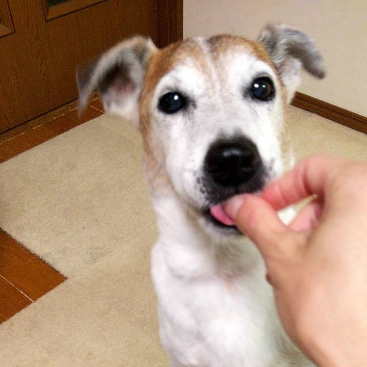 61bc41cc 0fa2 4608 ad38 d443773fd679 1595763645980