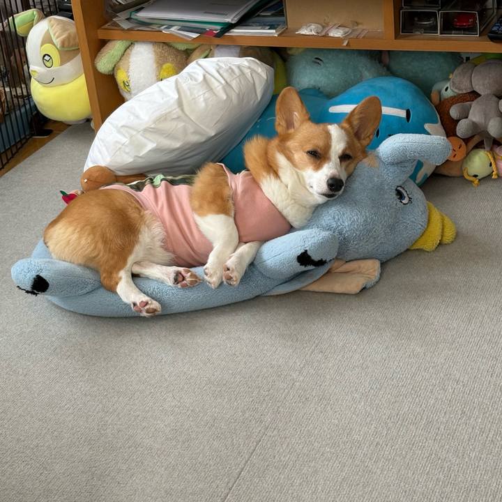 61bca326 87af 4999 a9ed ae6eb16aee5d 1771551979006