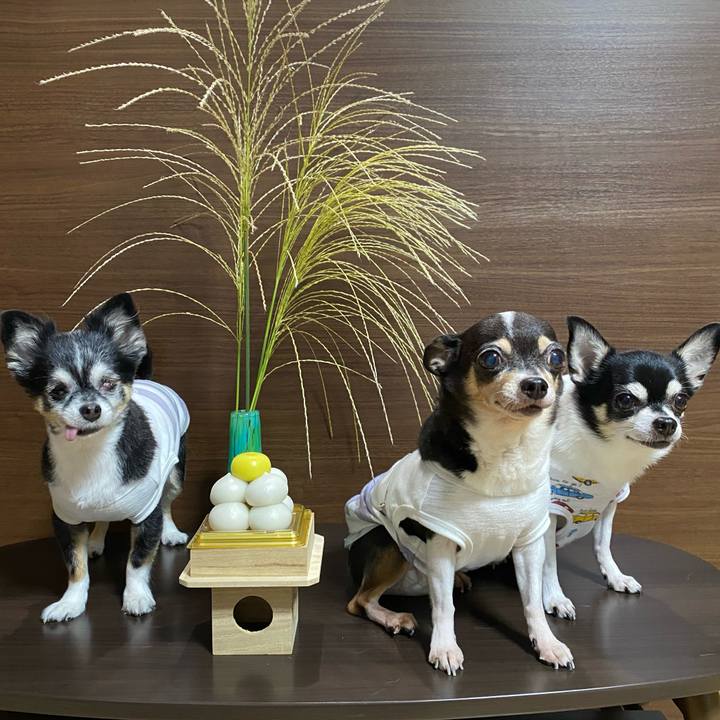 61bccb83 86f7 47d2 b99f 198fd85da98e 1759651829106