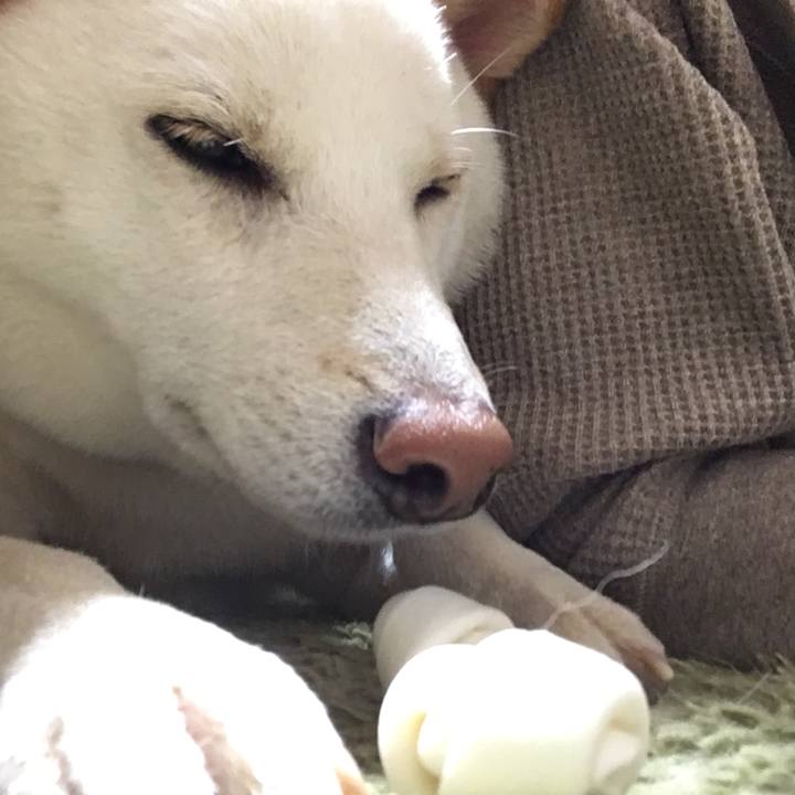 61bcd563 c3bd 4d4a ae3b 46c0e238a545 1539858160397