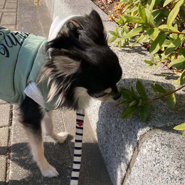 61bce269 57a5 4e1d b6af 6875071cd8f4 1610771947105