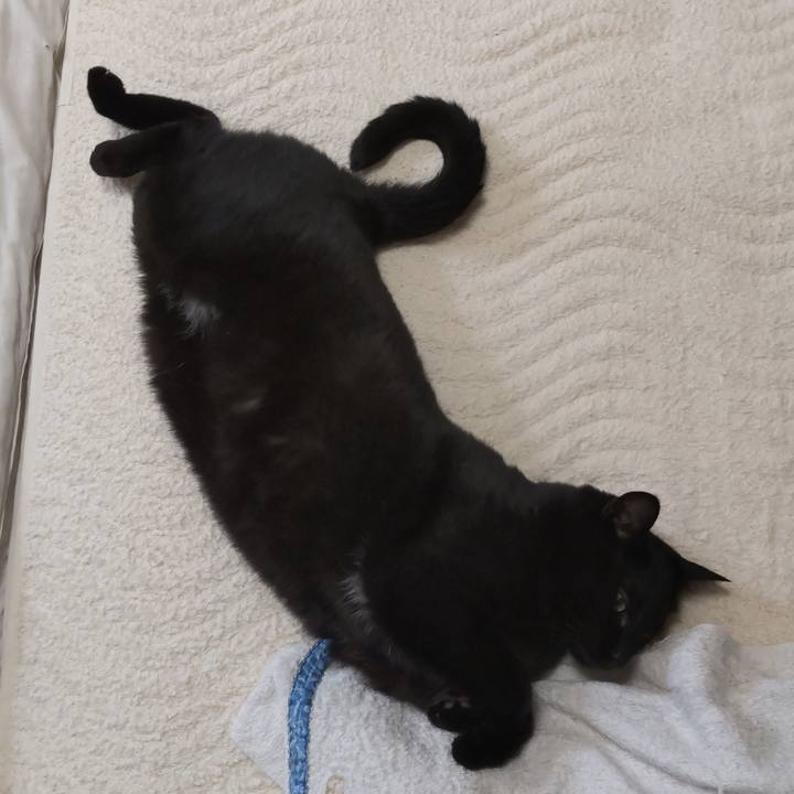 61bcefc0 ffd7 40ec 9542 934ed0a593f9 1652504184535