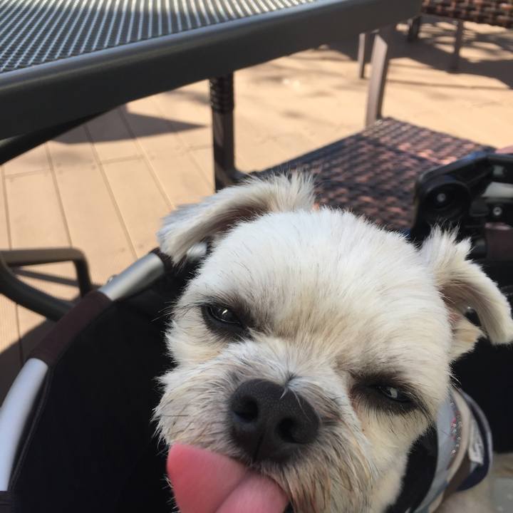 61bd409d f7e7 487c b3f8 180db3d29412 1540797034731