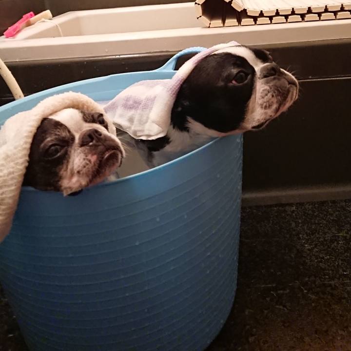 61bd5100 75f6 420f a73b 24a81ff6e2f9 1527424217555