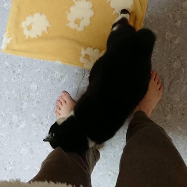 61bd67c3 a0c0 4a4c 8630 fee648f9356a 1609888294056