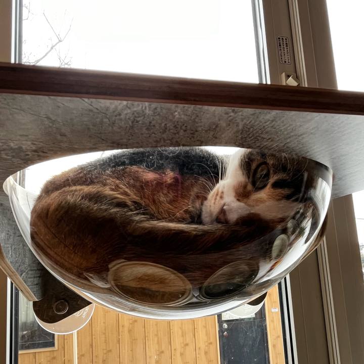 61bd7b15 8087 4b10 8f29 864174418ffa 1707952807897