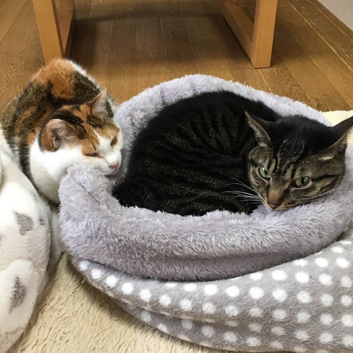 61bd874d 88d7 4197 ad40 1ae466b12d72 1581665906190