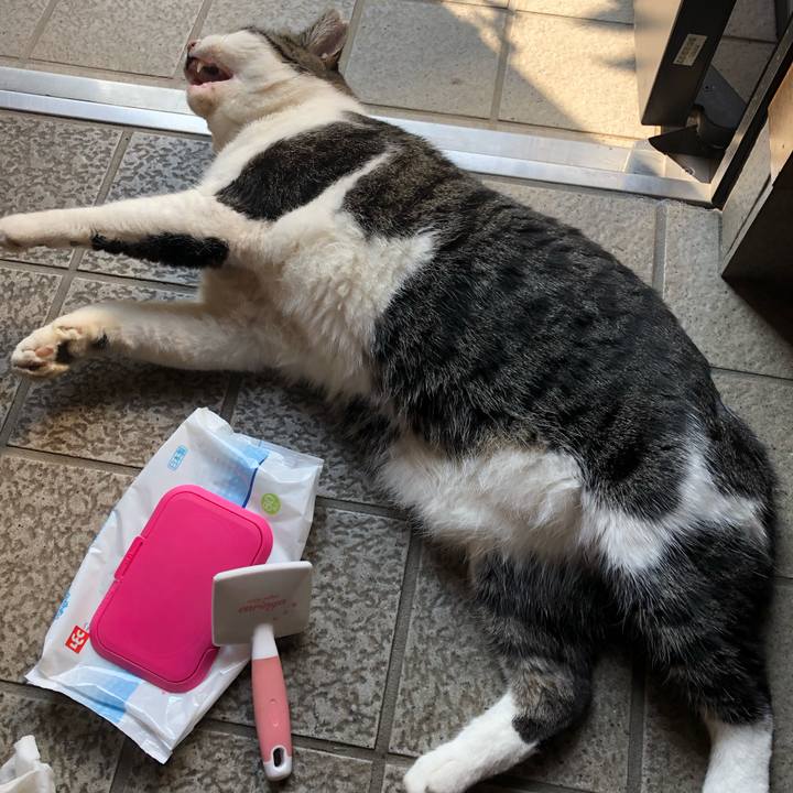 61bd9b2a 2064 4224 a369 772d8d2f5e2b 1572439011925