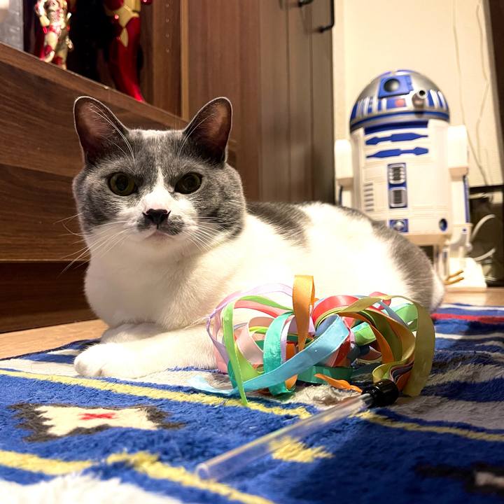 61bda43d b0a0 46fb 9a61 0c2e4133116d 1664618170873