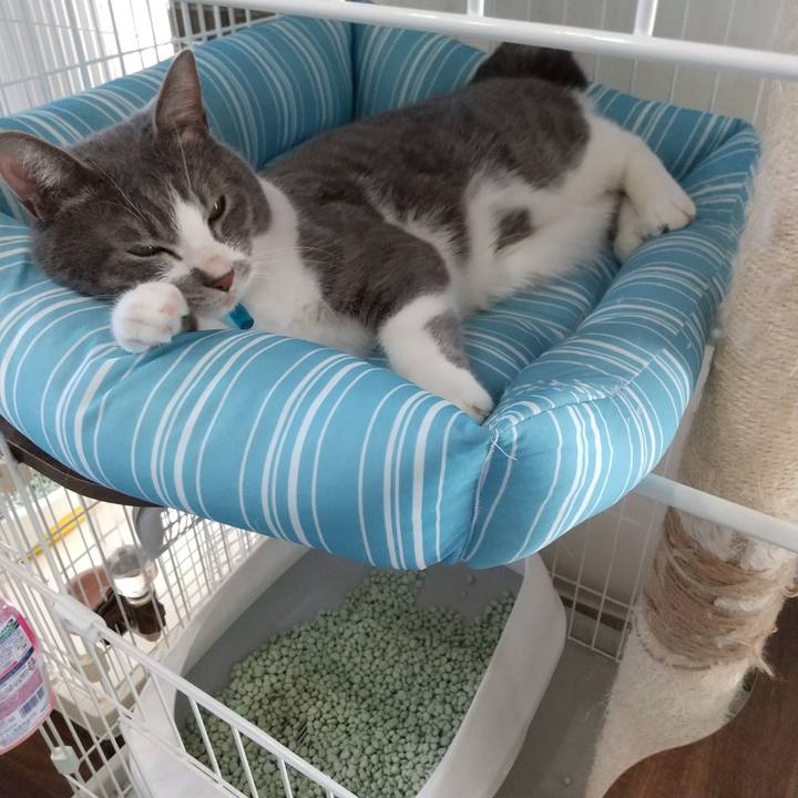 61be8948 2467 4e54 9d2e a9d84d7b917f 1649559244360