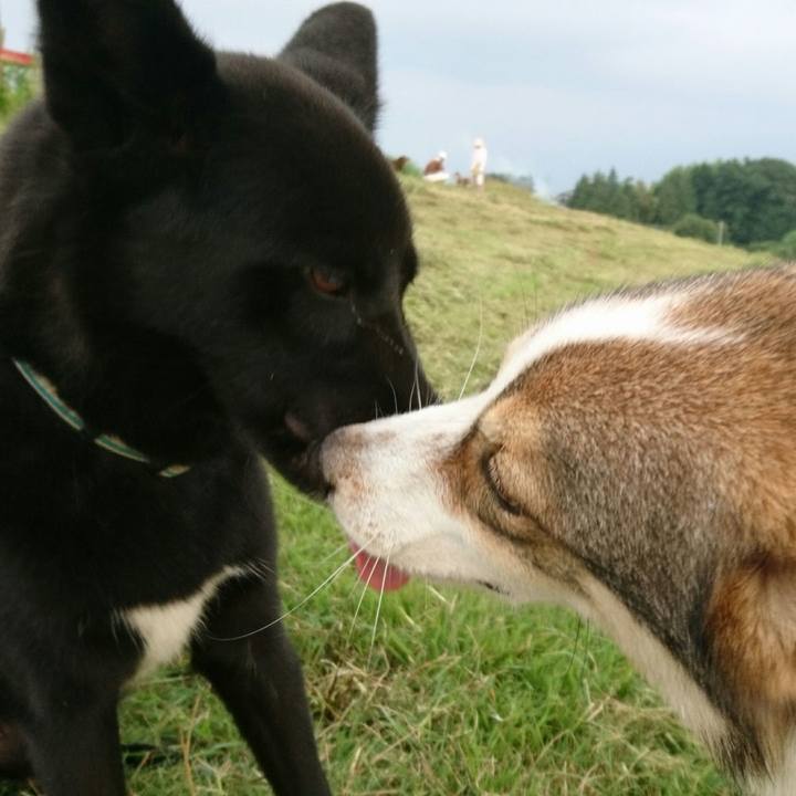 61be8bb5 2831 44fe b5b0 f3fcd1483dbe 1535554100627