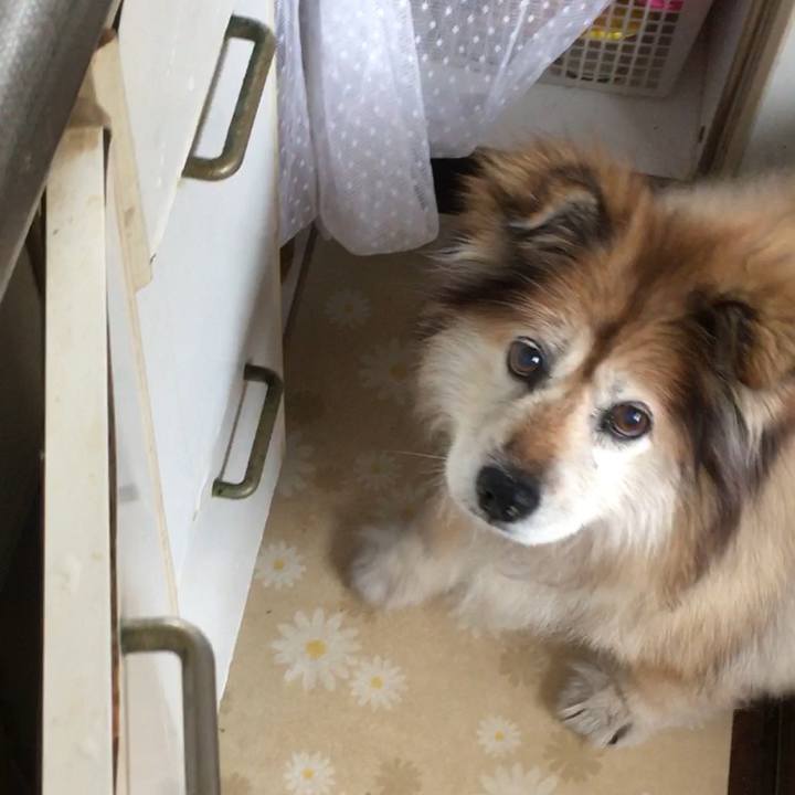 61be9728 db02 4aa8 89bd 00767bec9137 1550136355604