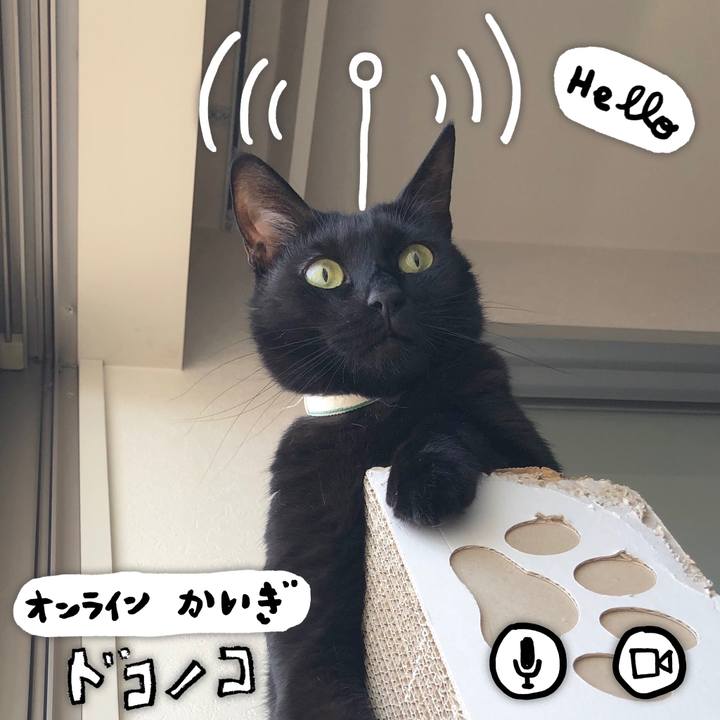 61beddc2 a346 4a87 9003 aaaca4a97dfb 1590805920212