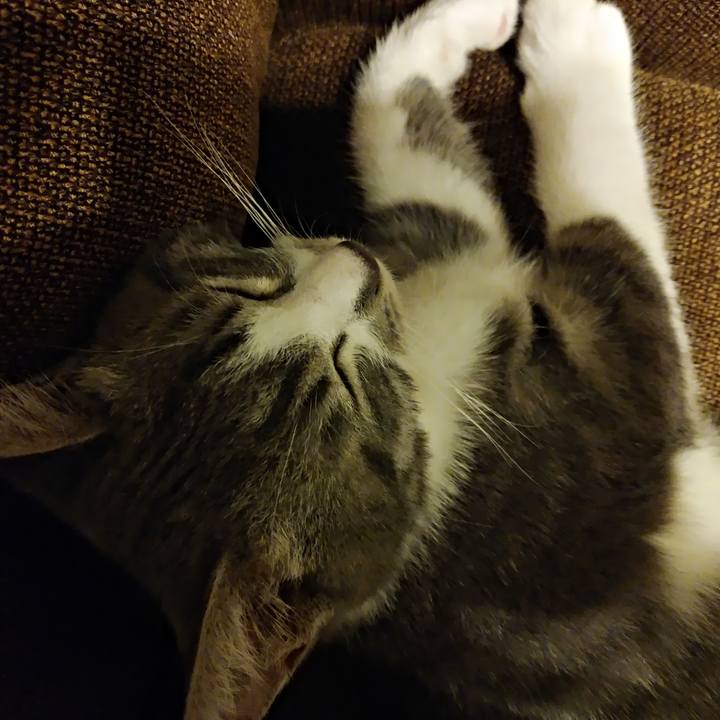 61bee948 182c 41e7 ae96 44d7d64fb8eb 1565625218875