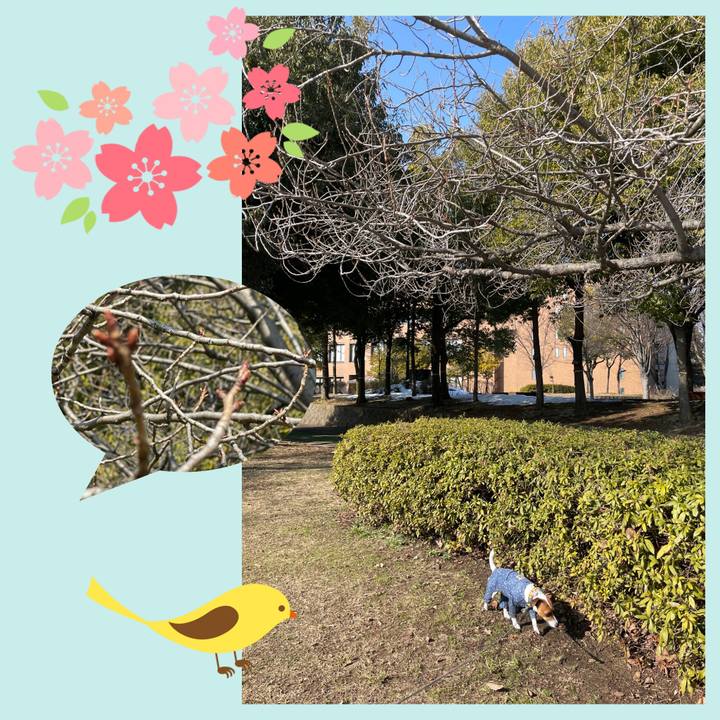 61bf0466 514b 41ec b6ff bbf2d96e4e28 1644890677369