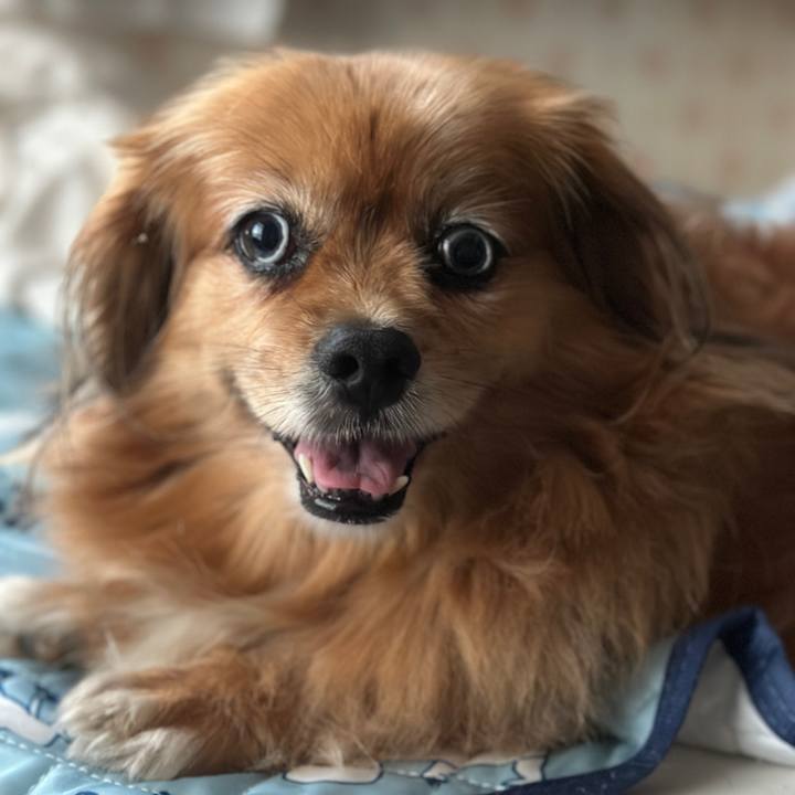 61bf1579 b42a 4773 a05b 633c68f2410d 1758605887873