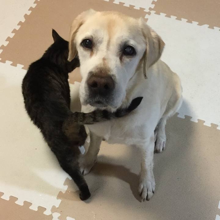 61bf2c6a 4459 4d4b 92b6 1b9b3e92a58a 1524562840981