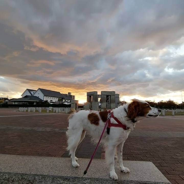 61bf4118 1840 4563 9359 1d97f66b4d1f 1604922845572