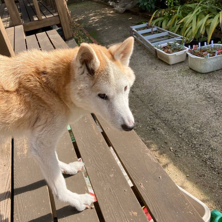 61bf4201 08e1 400c a6bc 81803918fb4e 1605066915838