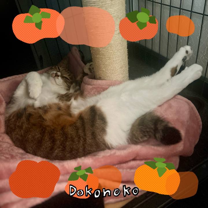 61bf5baa dda3 4e5c 9df6 2b9fff46aa72 1761223334087