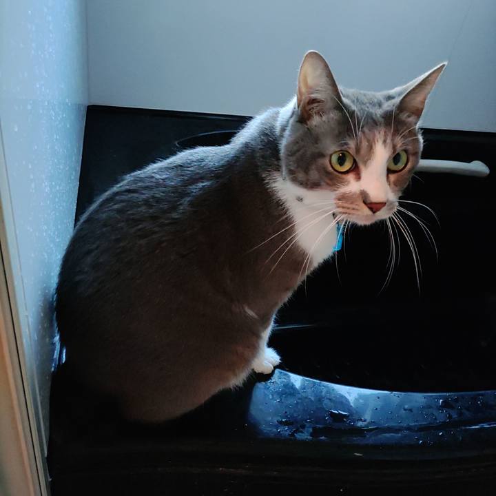 61bf7017 aacd 415f 966a 49246a7c98fb 1697583400017