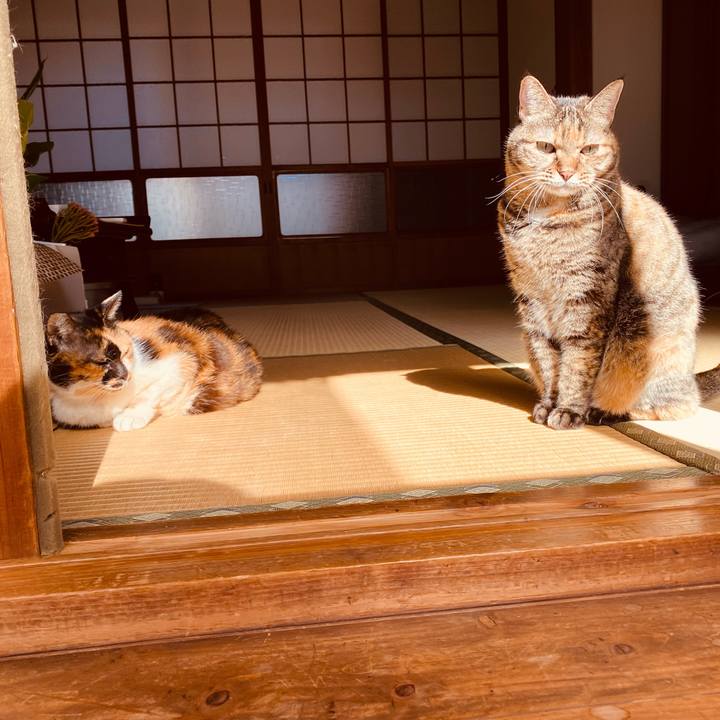 61bf9d70 8393 41f1 af8d adc8bf59acbd 1667729925873