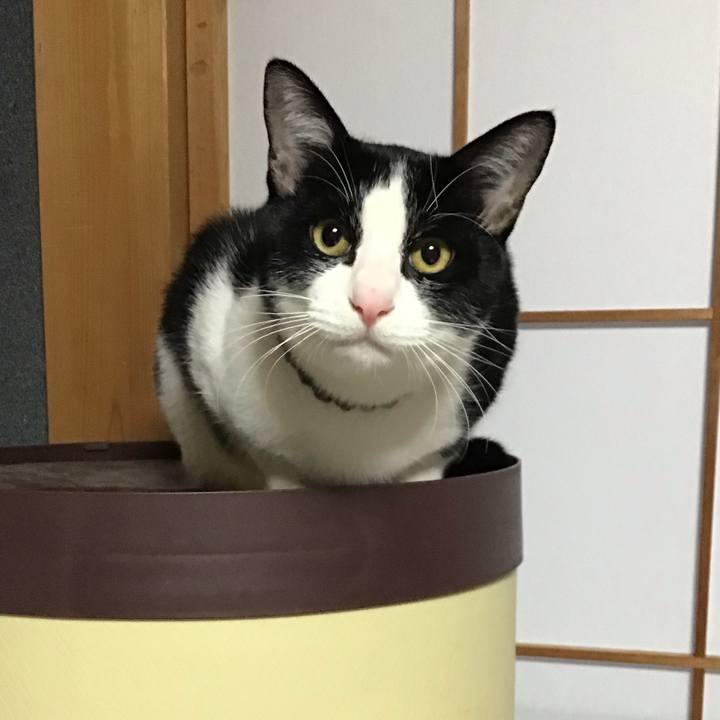 61bfb047 f0c2 46e4 8146 f260c73f905b 1639864789575