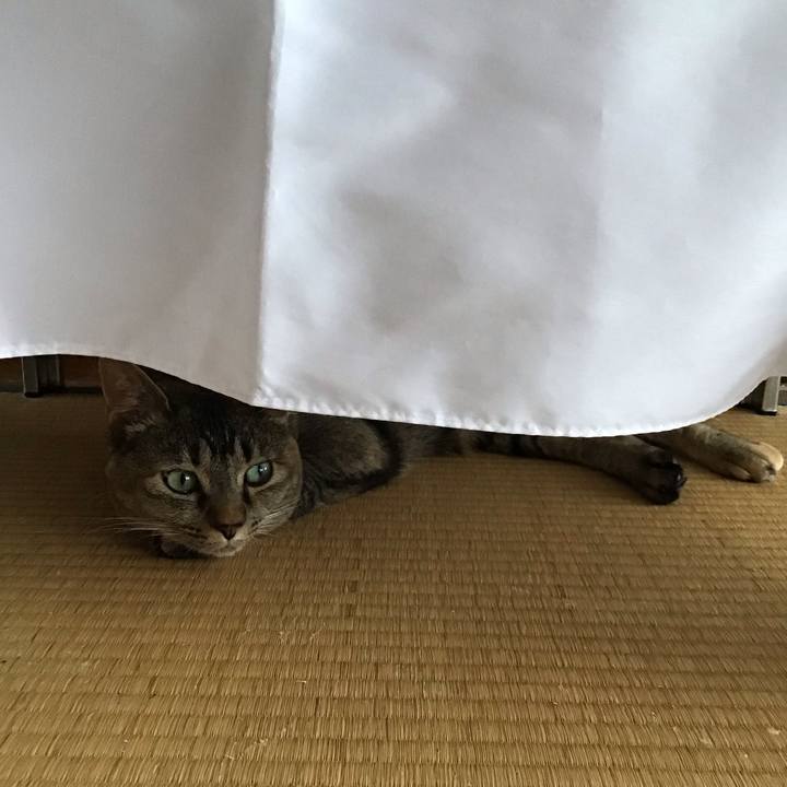 61bfcb9e 764e 4709 bee5 ae37cf4cefb4 1657626471109