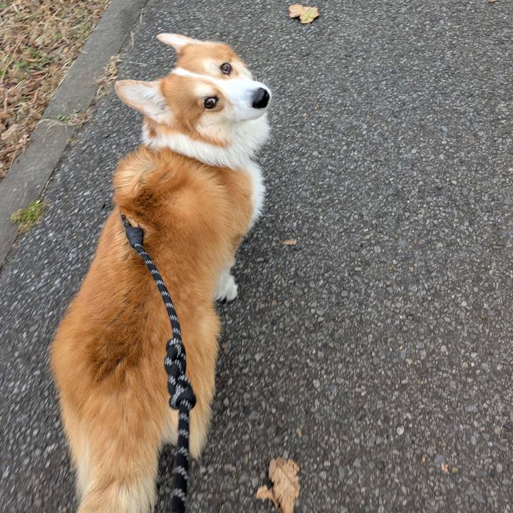 61bfeb14 7fa3 4e1b 8b1c 275902713e73 1766118078029