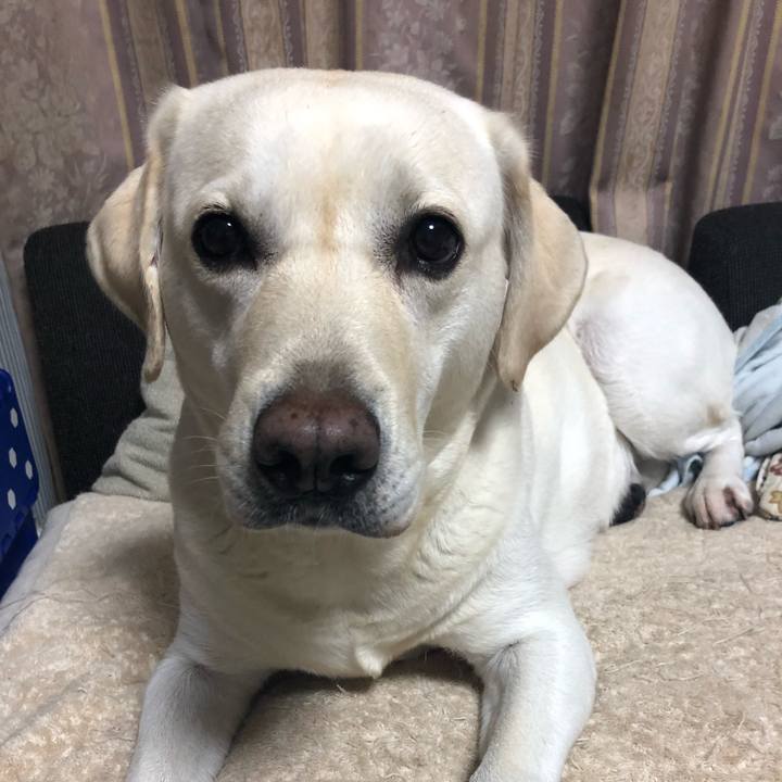 61bfedd3 2f0e 49cb 9fdf 6e07e88df298 1573342269836