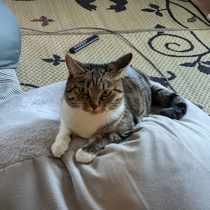 61c02503 6854 4ffa bd26 b43870f6c205 1718357878299