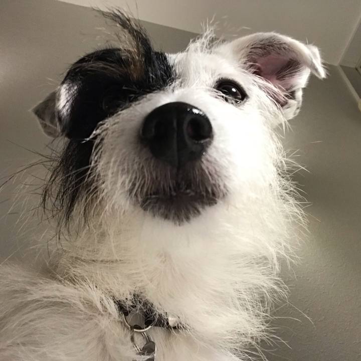 61c04745 cd2d 4051 aeaf 420d7a7f2fc0 1540389474766