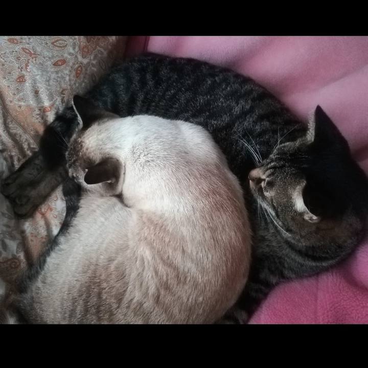 61c06573 02aa 407b a313 1fa8af276027 1605998673204