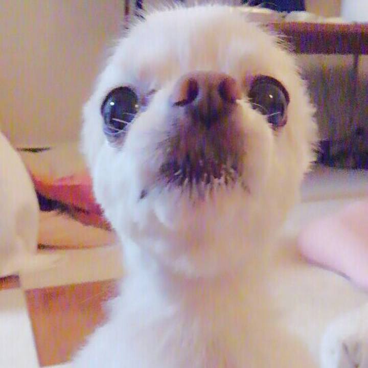 61c07c93 69db 4741 9784 5f95c896cd4f 1553606891568