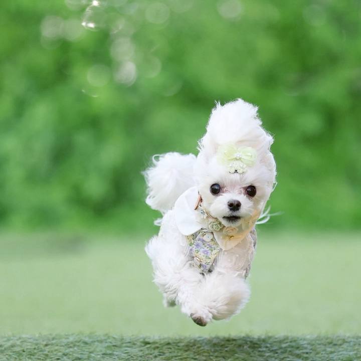 61c084a8 0169 4f2b a69d b901a98025a3 1775213593876