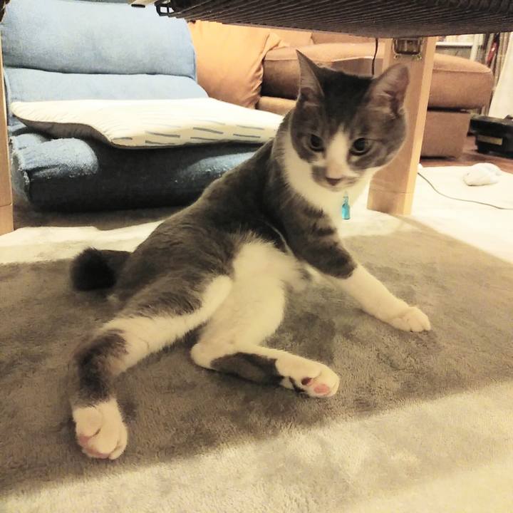 61c089eb ac93 4405 af91 f3457e44d114 1593094993219