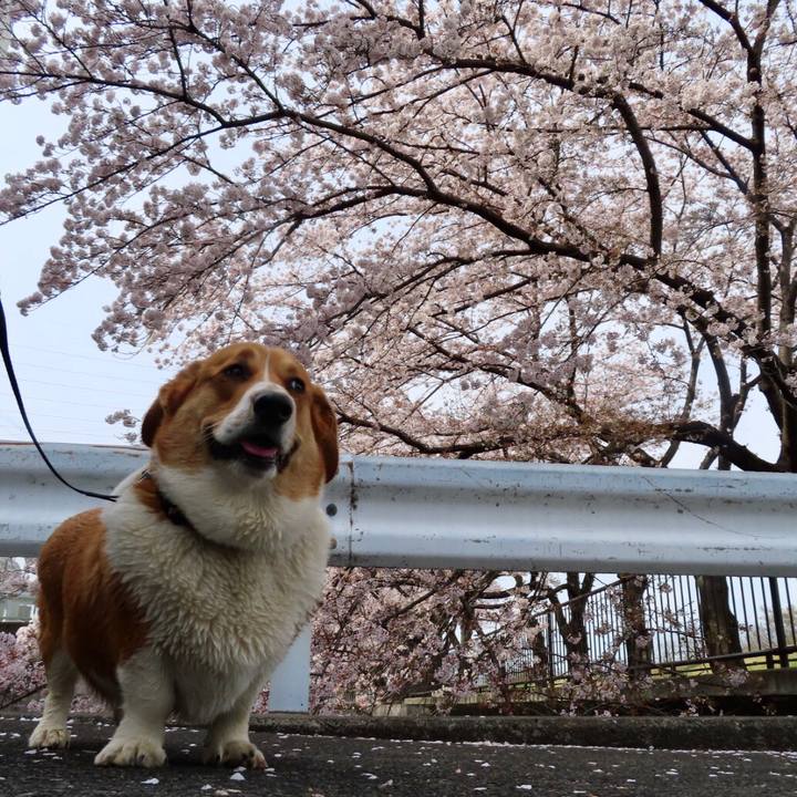 61c091a9 a668 4d92 8ef6 10b02e4c12fe 1648968406396