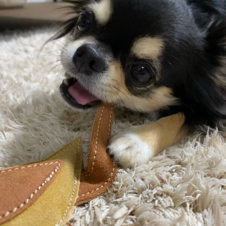 61c0929a ae1d 440a a75b 609cae0af86a 1602319237378