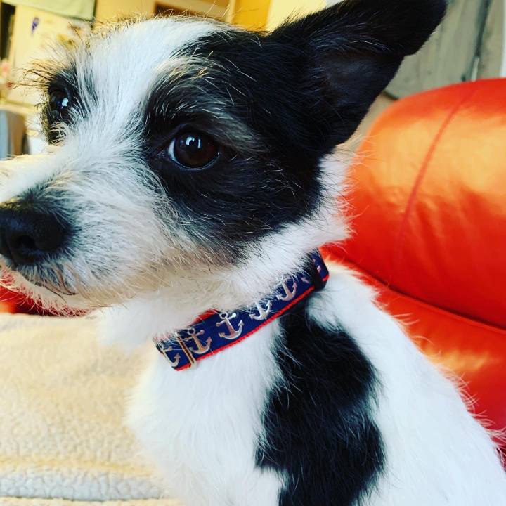 61c097fa ebd5 481b 84bd ca96563ccc1f 1617416842214