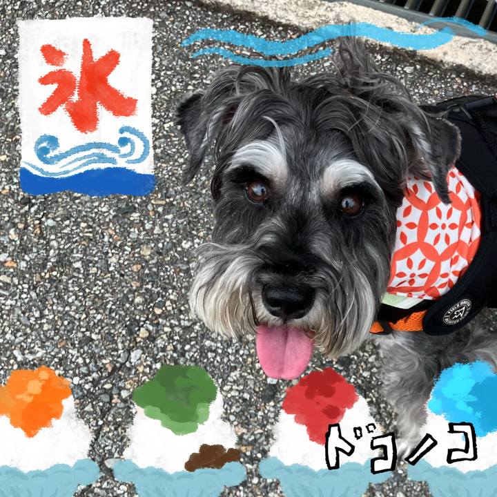 61c0ae5f 6033 4a71 805b cebada1fd170 1723385086825